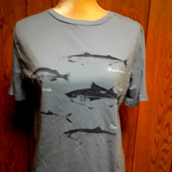 Womans XL Blue Tee- Shirt Loosefit Blouse - Picture 3 of 6